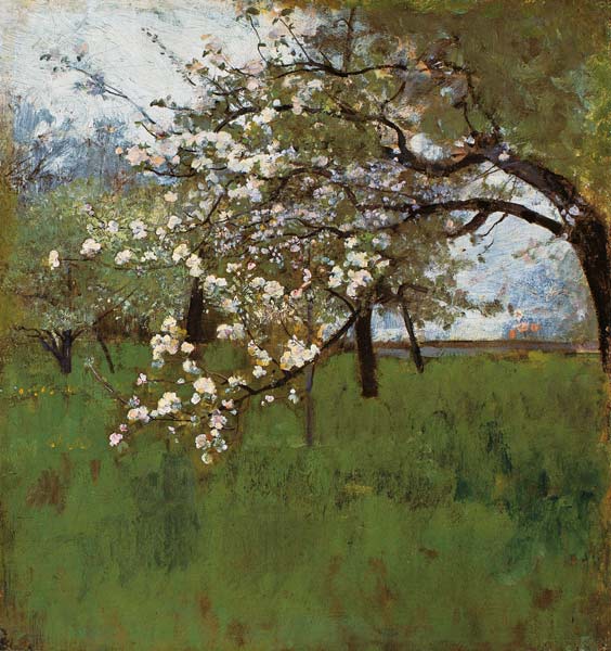Blühender Apfelbaum von Johann Sperl