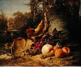 Fruit and Sparrows 1863