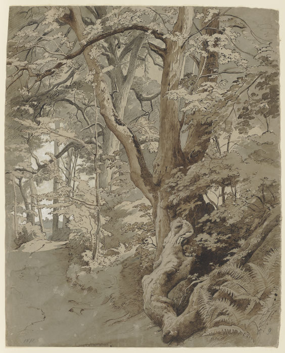 Waldpartie mit einer Eiche und Farnkraut von Johann Wilhelm Schirmer