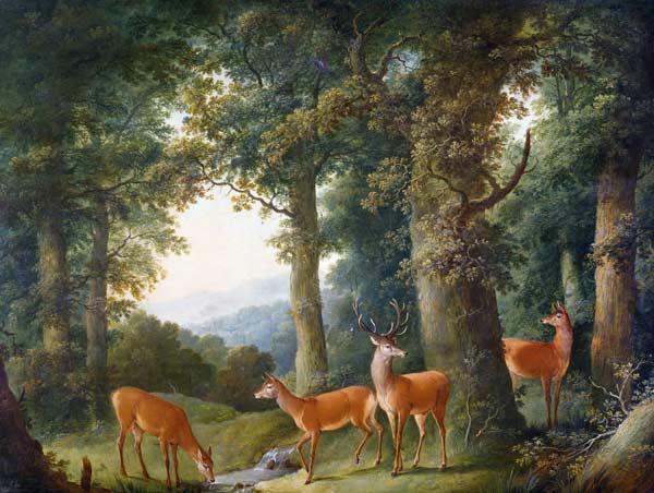 Waldlandschaft mit Rotwild Um 1760/70