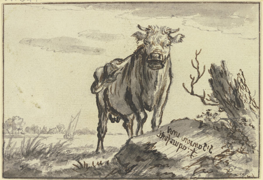 Ein Stier von vorne gesehen bei einem Baumstamm von Johannes Janson