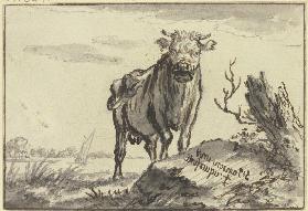 Ein Stier von vorne gesehen bei einem Baumstamm