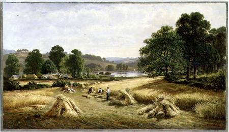 Gathering the Golden Grain near Bishopsteignton, Plymouth von John Barrett