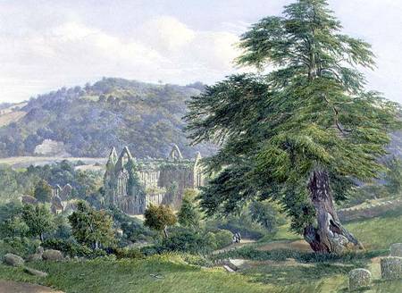 Tintern Abbey with the Wye Beyond von John Chase