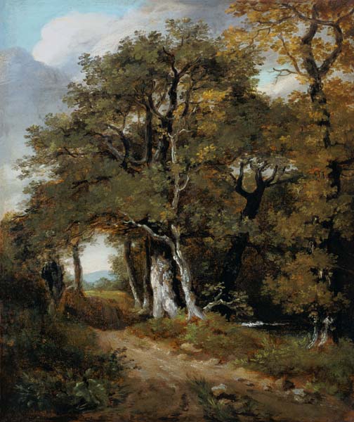 A Woodland Scene von John Constable