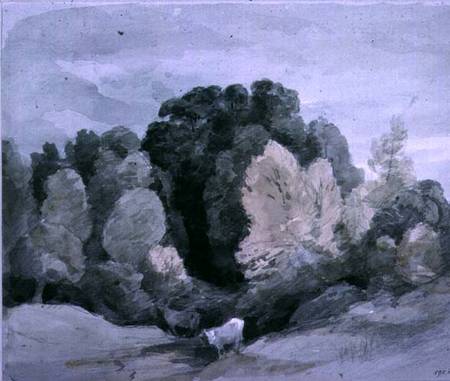 Cattle near the Edge of a Wood von John Constable