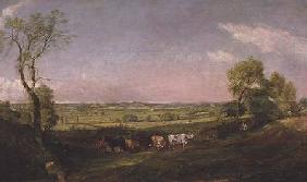 Dedham Vale: Morning c.1811