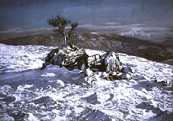 Barbondale Tree, Barbon, nr Kirby Lonsdale, Cumbria von John  Cooke