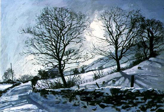 Winter Afternoon in Dentdale, 1991 von John  Cooke