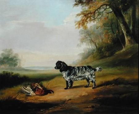 Landscape with a Dog von John E. Ferneley d.J.