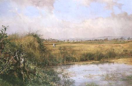 A View near Sefton, Lancashire von John Edward Newton