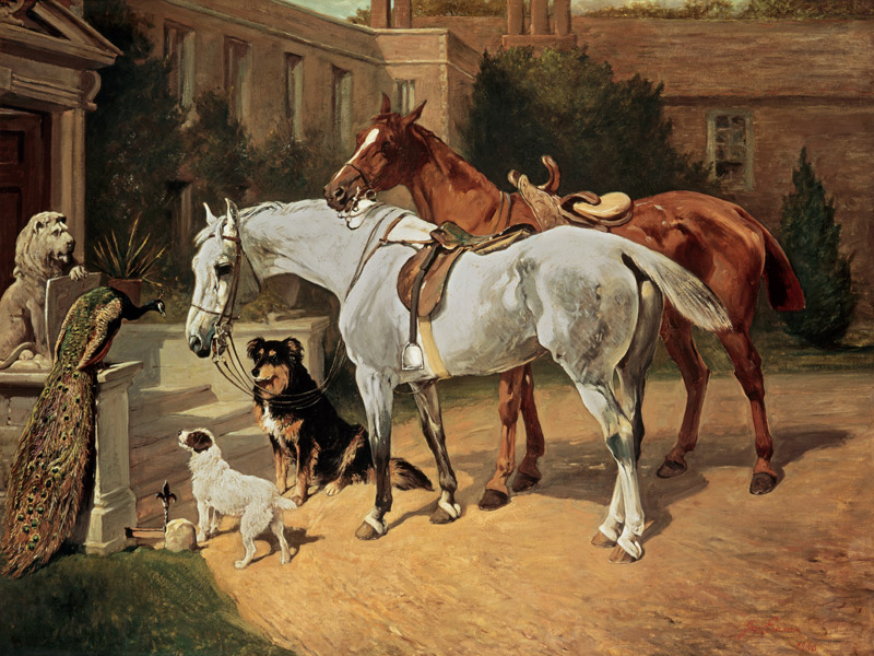 Horses and Dogs von John Emms