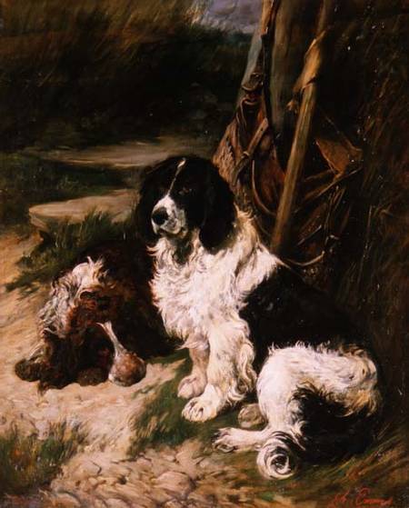 Brown and White and Black and White Spaniel von John Emms