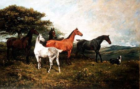 Mares and Foal with a Sheepdog von John Emms
