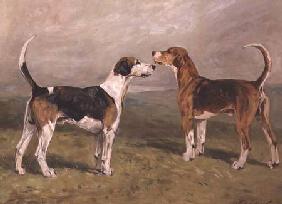 Two Hounds in a Landscape