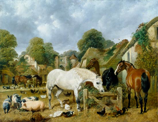 Horses in a Paddock von John Frederick Herring d.Ä.