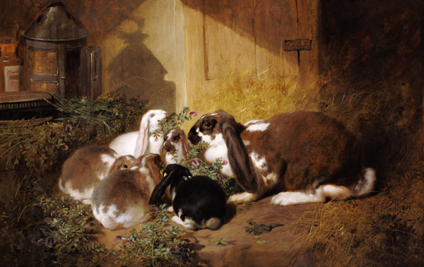 Kaninchenfamilie von John Frederick Herring d.Ä.