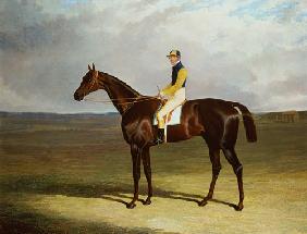 Mr. M. Stanley's 'Crutch' on Newmarket Heath 1833