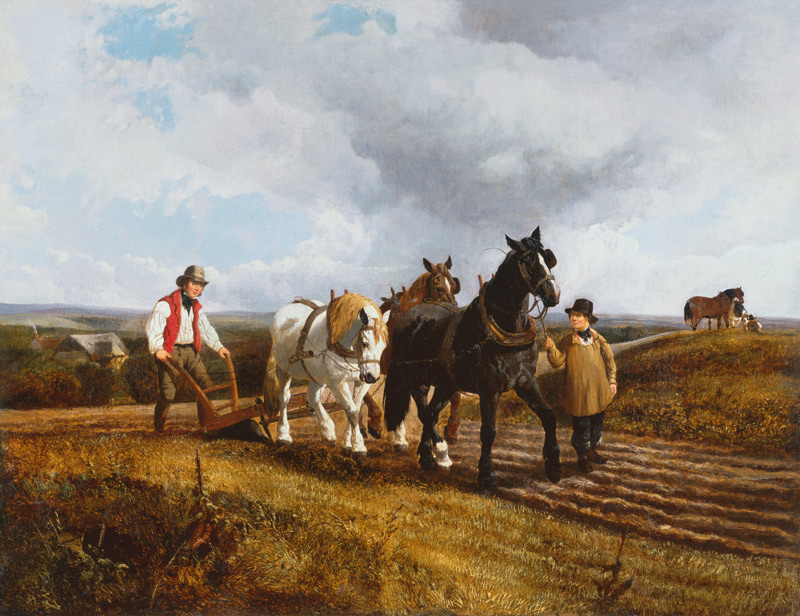 Ploughing von John Frederick Herring d.J.