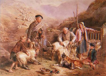 Sheep Shearing von John Frederick Tayler
