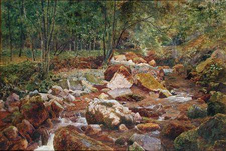 A Rocky Stream Overhung with Trees (w/c and bodycolour with gum arabic on paper) von John George Sowerby