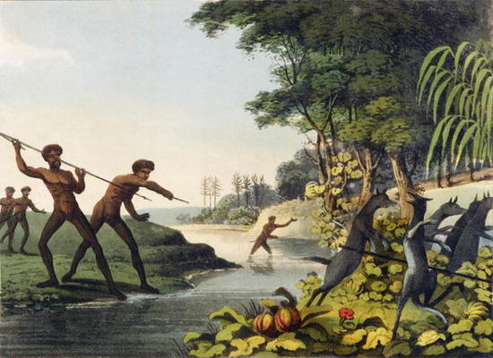 Hunting the Kangaroo, aborigines in New South Wales engraved by Matthew Dubourg (fl.1813-1820) 1813 von John Heaviside Clark