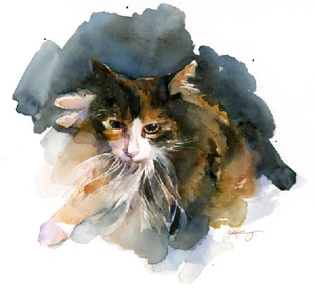 Calico Cat 2015