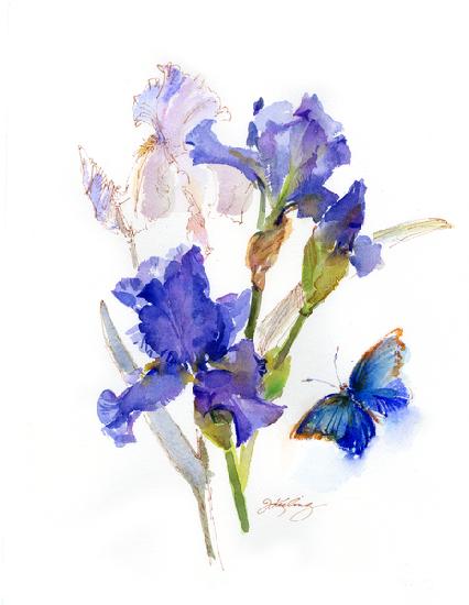 Iris with blue butterfly 2016