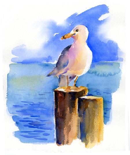 Seagull on dock 2014