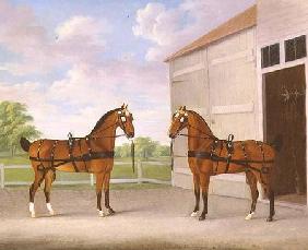 A Pair of Bay Carriage Horses in a Stable Yard 1784