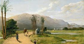 Asyut on the Nile 1873