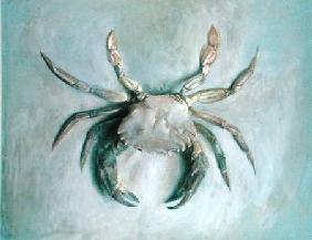 Velvet Crab 1870-1  ov
