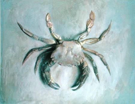 Velvet Crab von John Ruskin