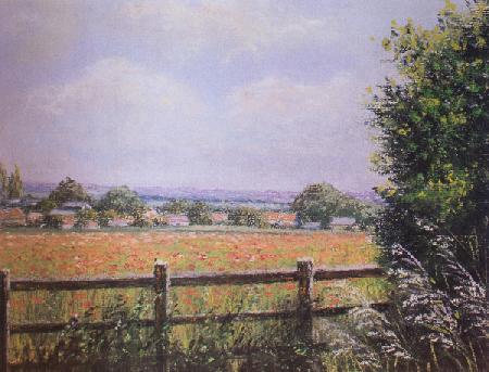 Poppy Field, Cookham 2003