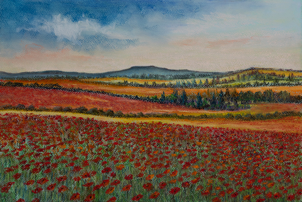 Poppy fields..Flanders von Margo Starkey