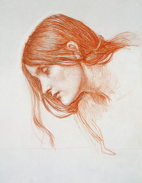 Study of a Girl's Head von John William Waterhouse
