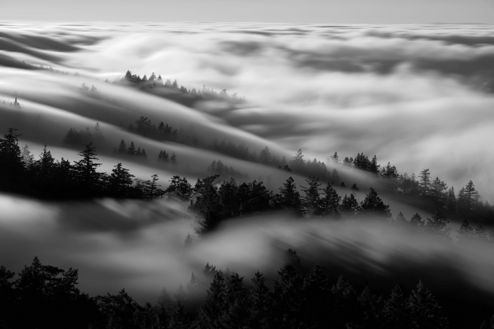 Baden im Nebel von Johnny Zhang
