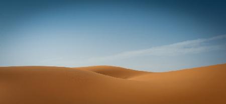 Sinnliche Wüste