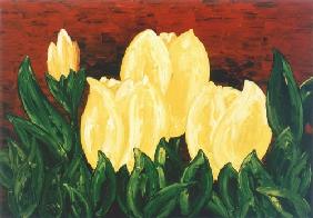 Gelbe Tulpen 2001