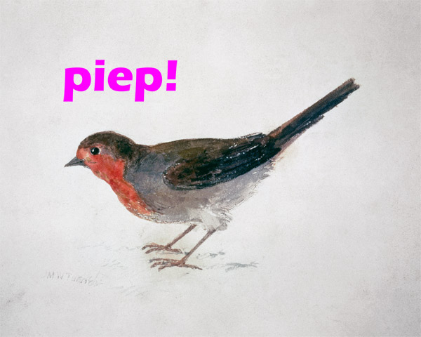 Robin, from The Farnley Book of Birds  - "piep!" von William Turner