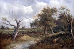 Landscape with Dying Tree