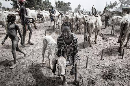 Eine Szene aus dem Leben in einem Mundari-Rinderlager – Südsudan