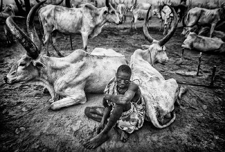 Eine Szene aus dem Leben in einem Mundari-Rinderlager – Südsudan