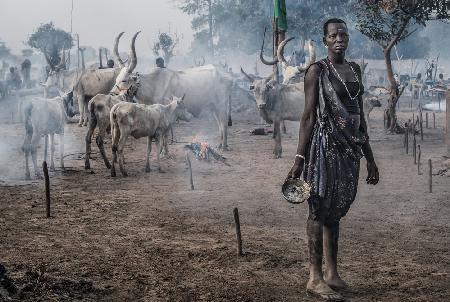 Eine Szene in einem Mundari-Rinderlager II – Südsudan