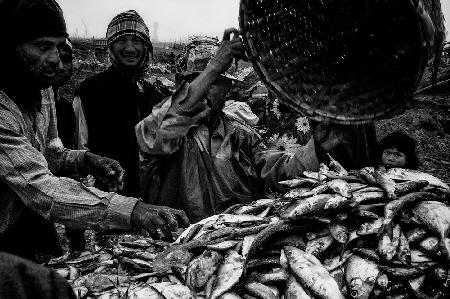 Gibt es noch Fische übrig? Bangladesch.