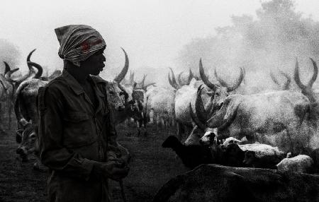 In einem Rinderlager in Mundari – Südsudan