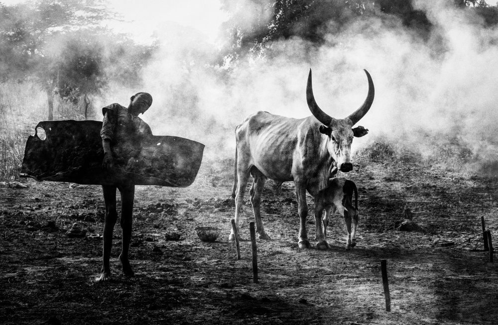 Mundari-Kind trägt Mist – Südsudan von Joxe Inazio Kuesta Garmendia