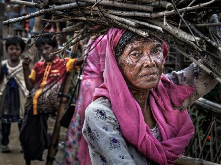 Rohingya-Flüchtlingsfrau trägt Holz – Bangladesch