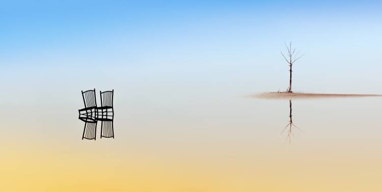 Two Chairs and a Tree von Juan Luis Duran