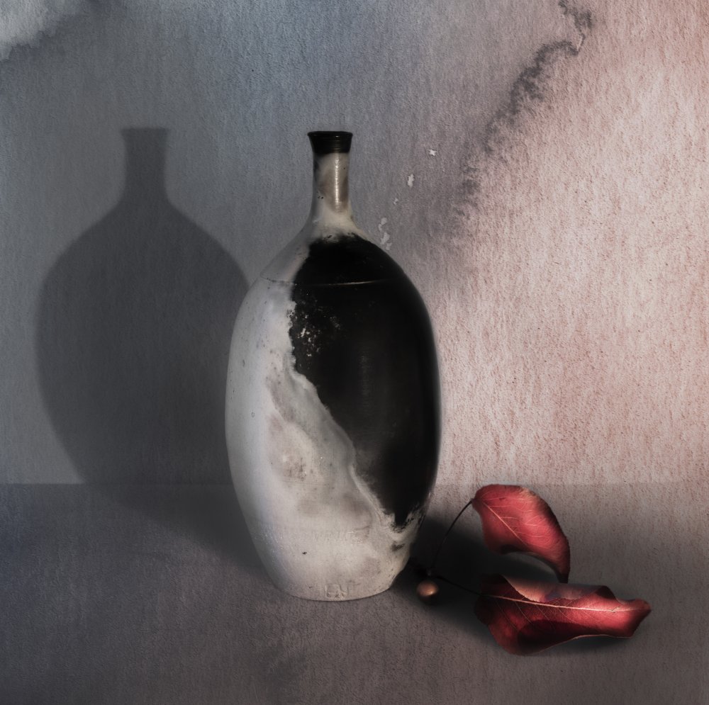 Vase und Schatten von Judy Tseng